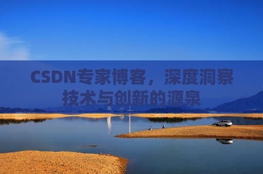 CSDN专家博客，深度洞察技术与创新的源泉